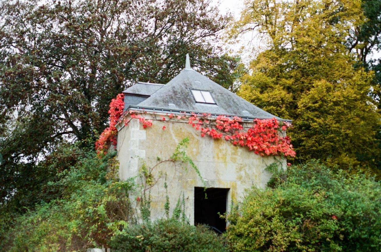 Chateau De La Huberdiere Nazelles-Negron Eksteriør bilde