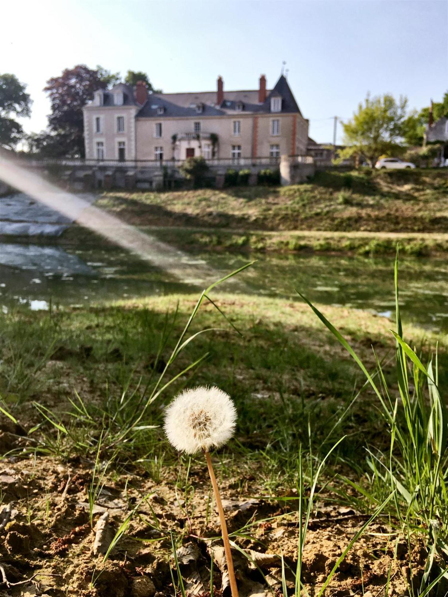 Chateau De La Huberdiere Nazelles-Negron Eksteriør bilde