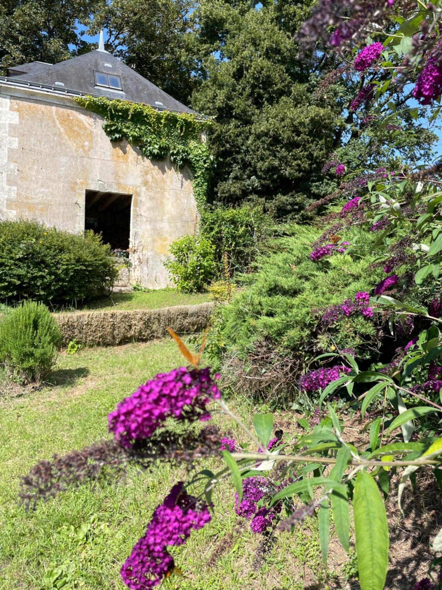 Chateau De La Huberdiere Nazelles-Negron Eksteriør bilde