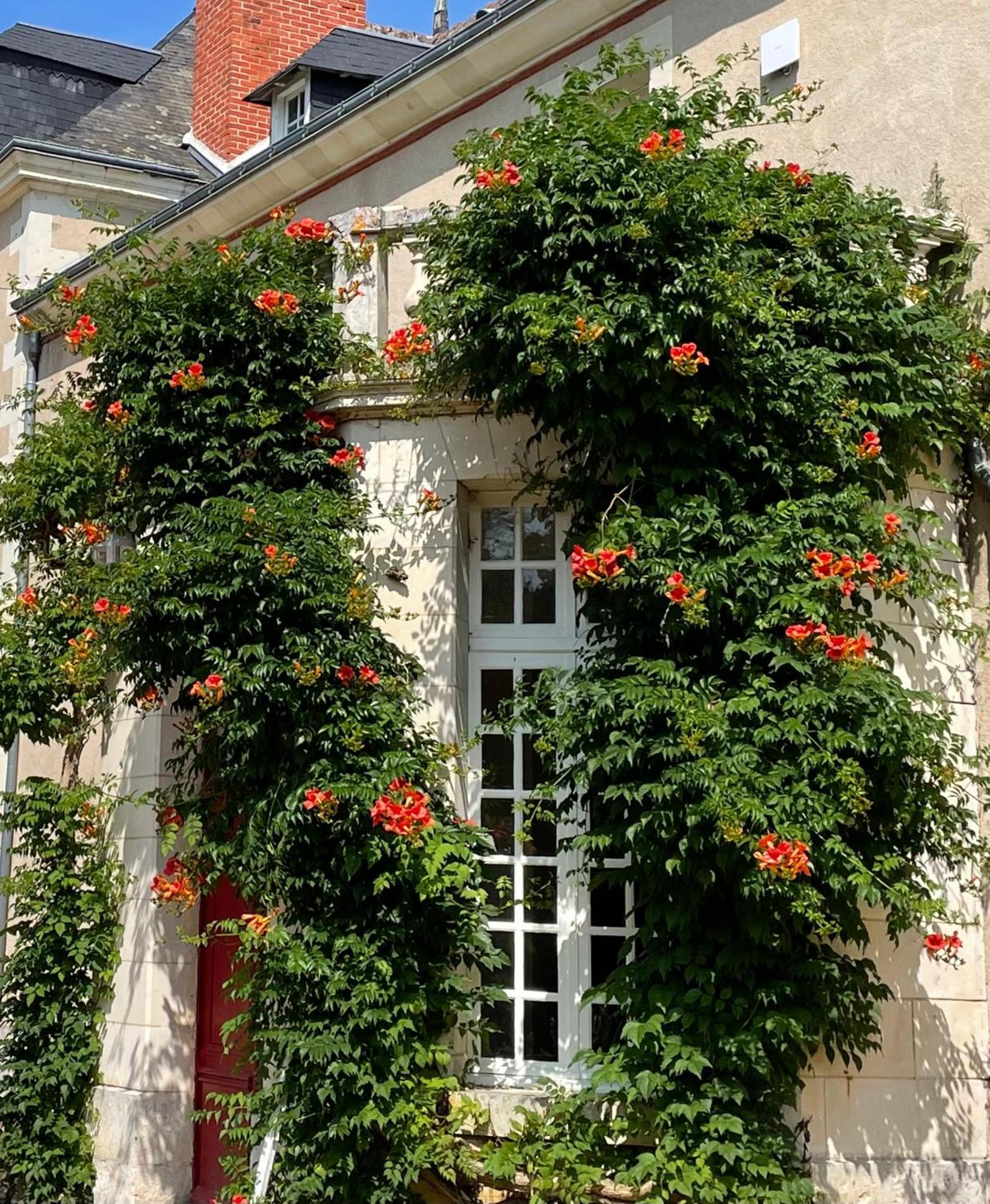 Chateau De La Huberdiere Nazelles-Negron Eksteriør bilde